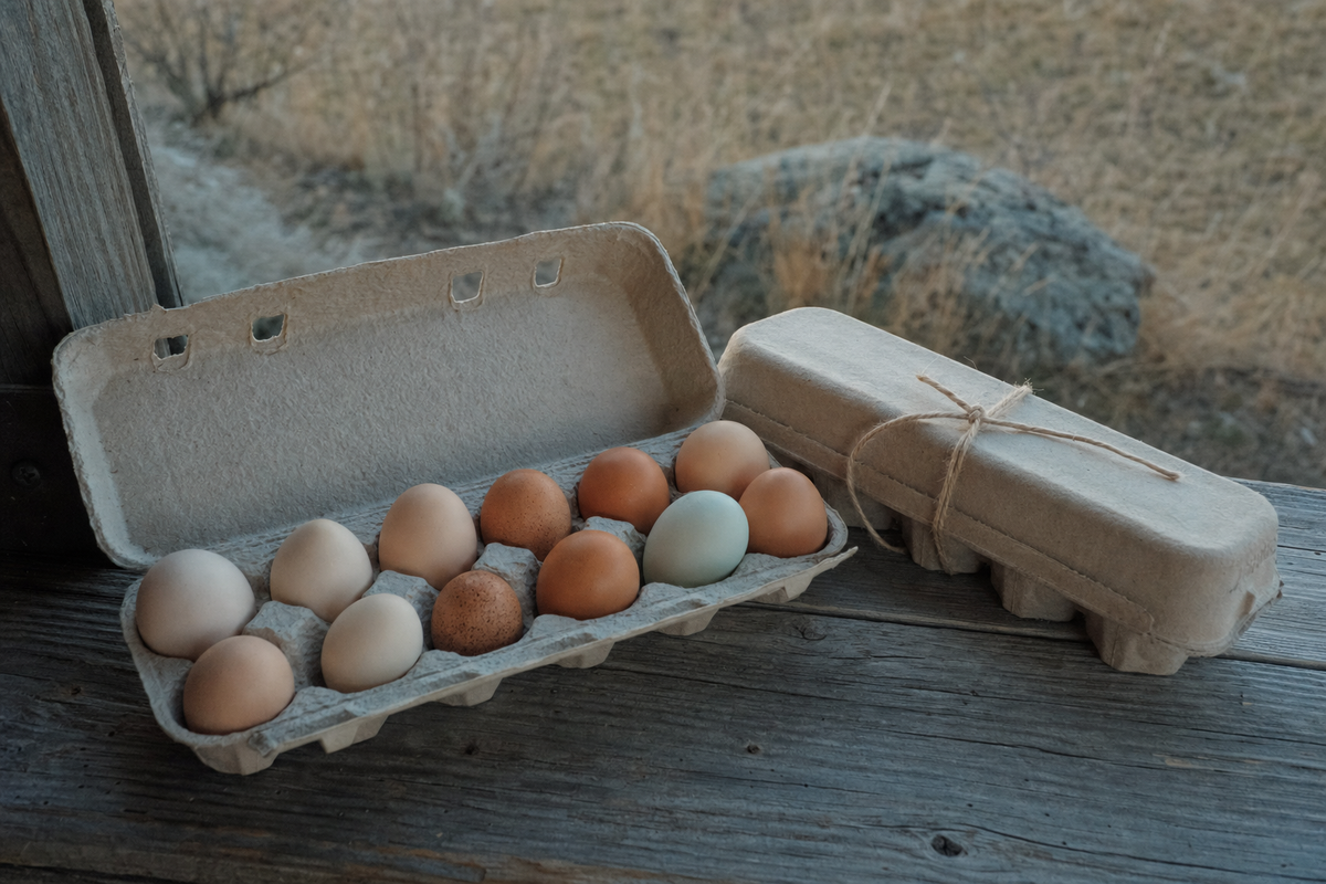 An open pulp carton of unwashed nest run eggs in mismatched browns, creams and one blue-green, on a weathered porch step